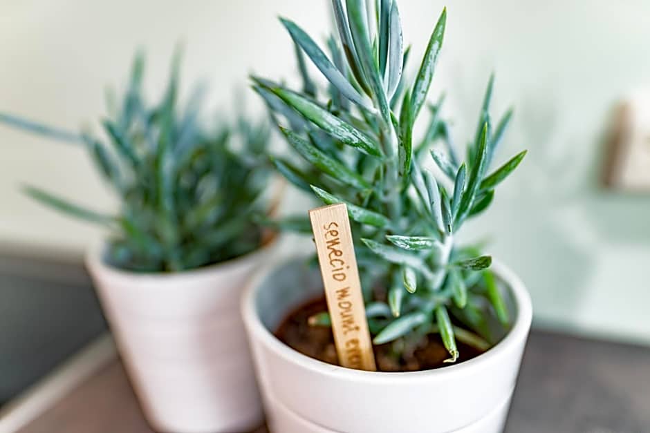 Wellnesshaus Reichelt