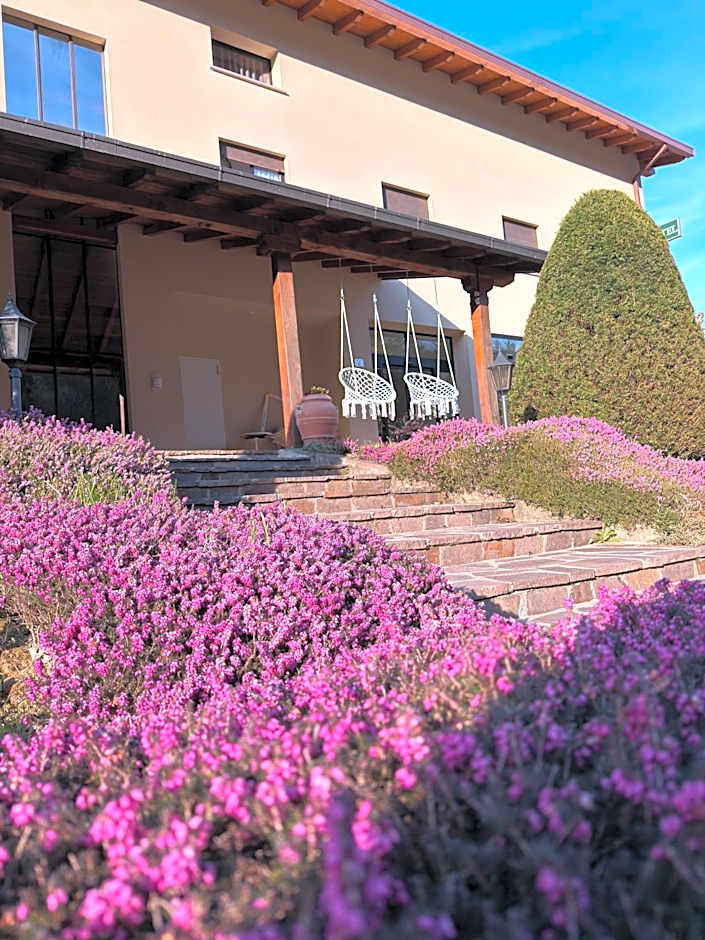 Hotel Merloni