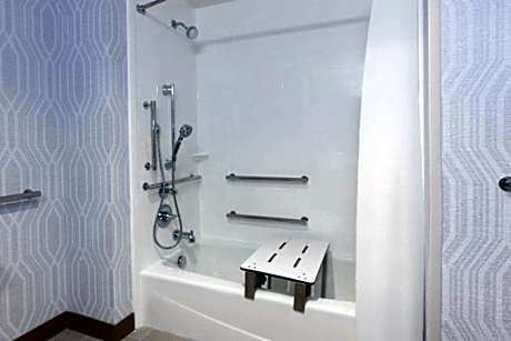 1 KING MOBILITY ACCESS WITH TUB NONSMOKING