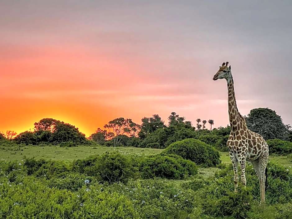 Sibuya Game Reserve and Lodge