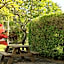 Plantation Hale Suites