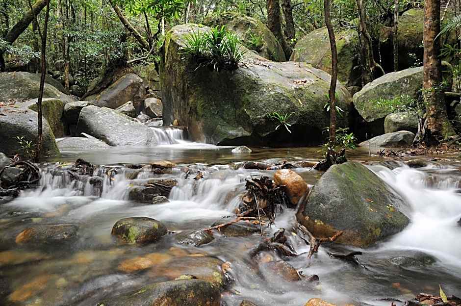 Daintree Cascades