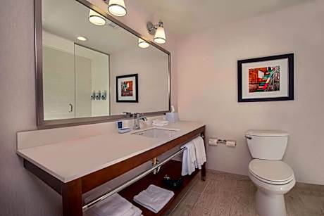 Junior Studio Suite, 1 King Bed with Sofa bed (Dry Bar) (1 King Bed and 1 Double Sofa Bed)