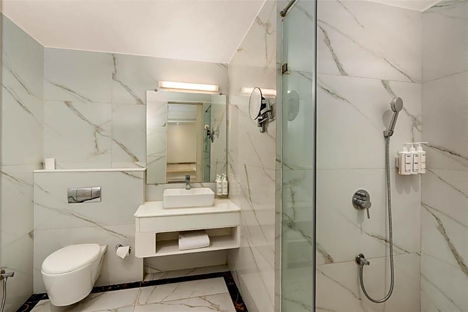 Park Inn by Radisson New Delhi IP Extension