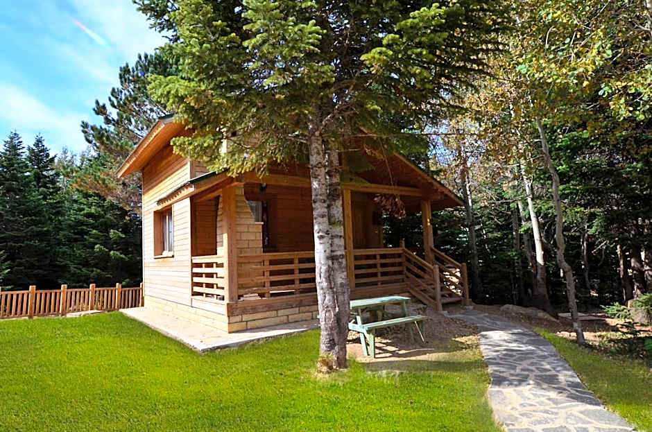 Uludag Orman Koskleri