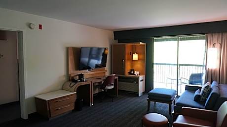 Suite, 1 King Bed with Sofa bed (1 King Bed and 1 Double Sofa Bed)