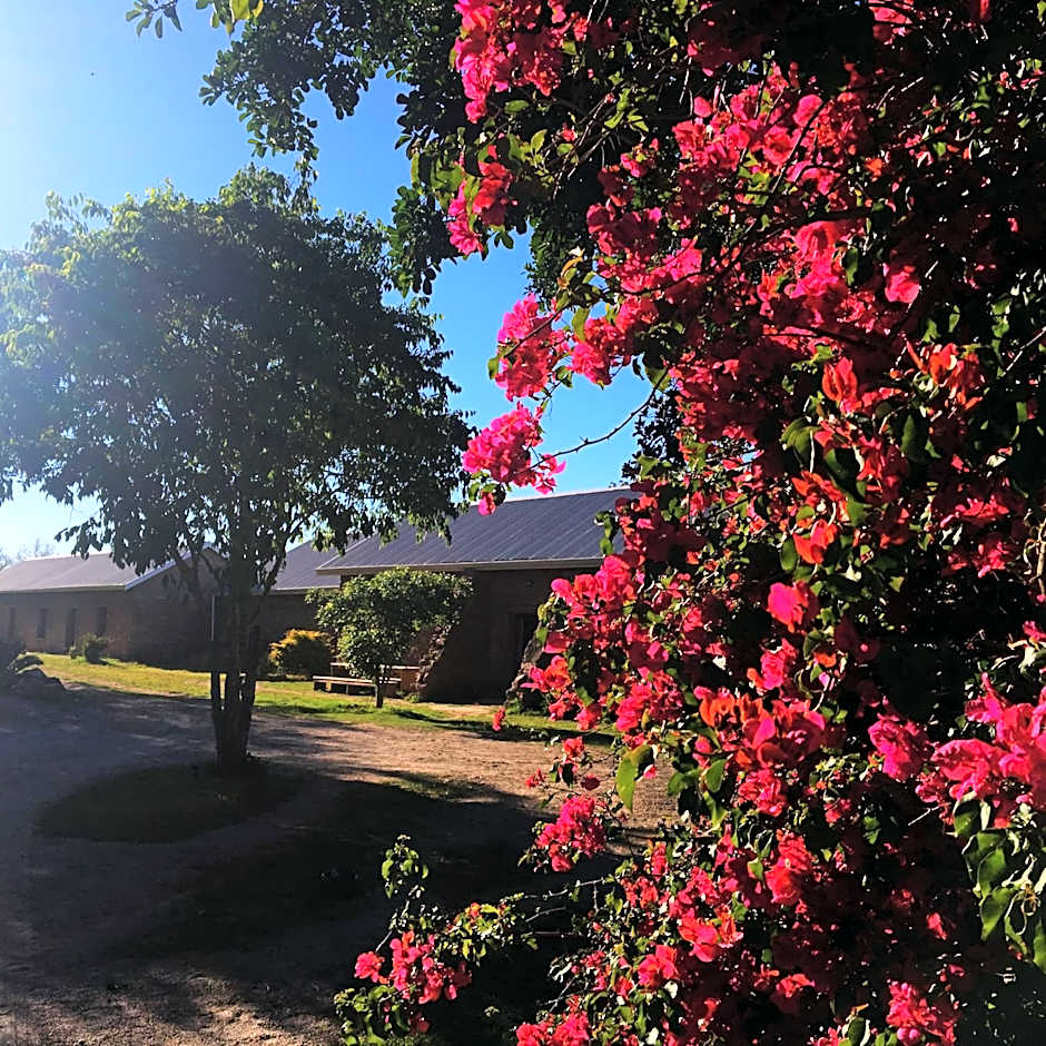 Seven Fountains Farm