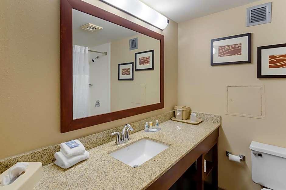 Comfort Inn Blacksburg University Area