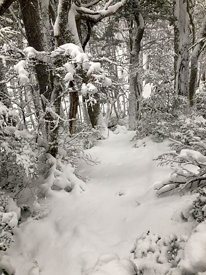 CabaÃ±as Del Martial