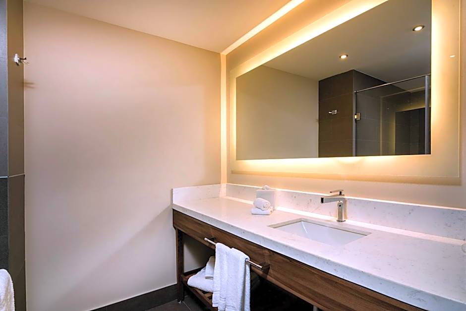 Hilton Garden Inn Aguascalientes