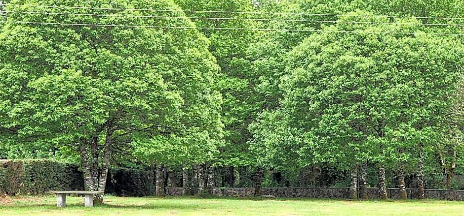 Habitaciones La Cuevona de Guitiriz,Parga, en el camino norte Lugo