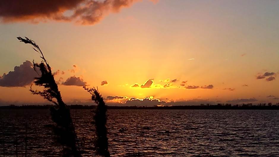 B&B Veluwemeerpension