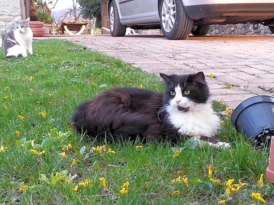 Il Casolare Bioenergetico