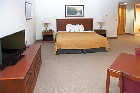 Deluxe King Junior Suite