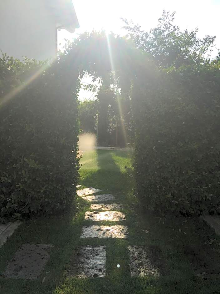 Bed & Breakfast Case Osti