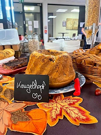 Hotel Primo Colmar Centre