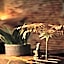 Nonam Boutique Hotel Gent