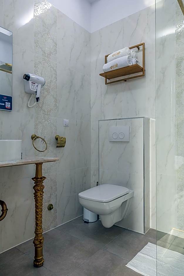 Hotel Vila Central Boutique Satu Mare