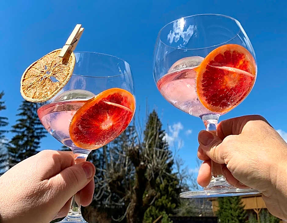 Apparthotel Germania