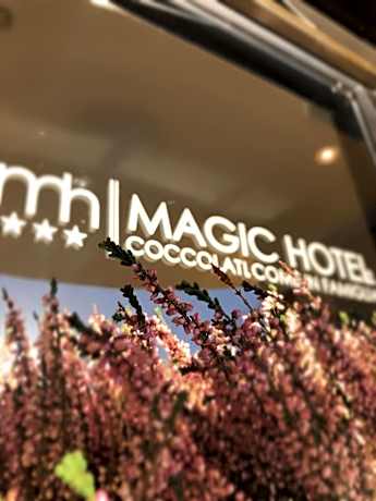 Magic Hotel