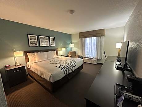 1 King Bed, Nonsmoking, Accessible