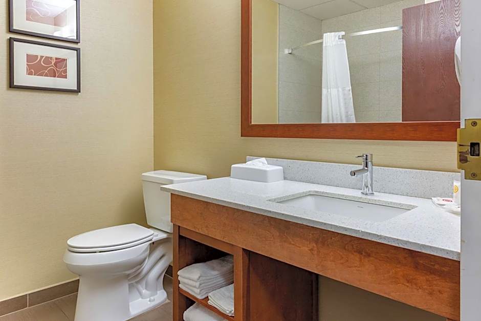 Comfort Suites Dover University Area