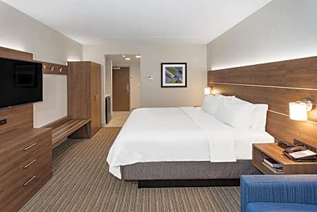 1 King Bed Suite Addl Living Area