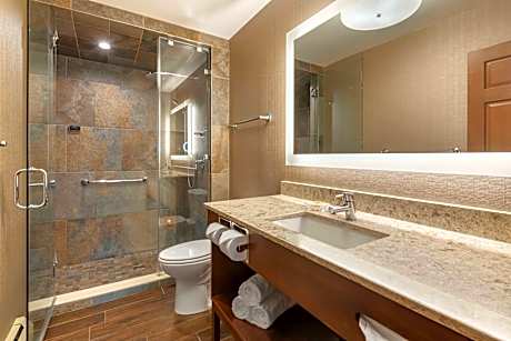 Suite-1 King Bed, Non-Smoking, Steam Shower, Whirlpool, Fireplace, Lake Front Balcony, No Pets Allow