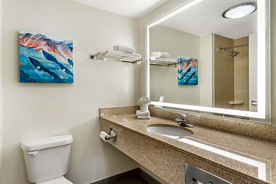 Best Western Plus Airport Inn & Suites