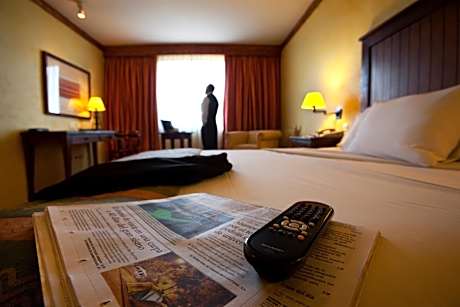 Executive Twin Room