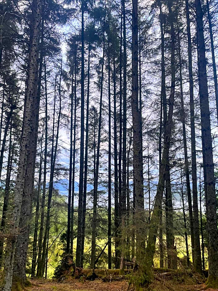 Stoneymollan over Loch Lomond