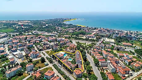 Catty Cats Garden Hotel