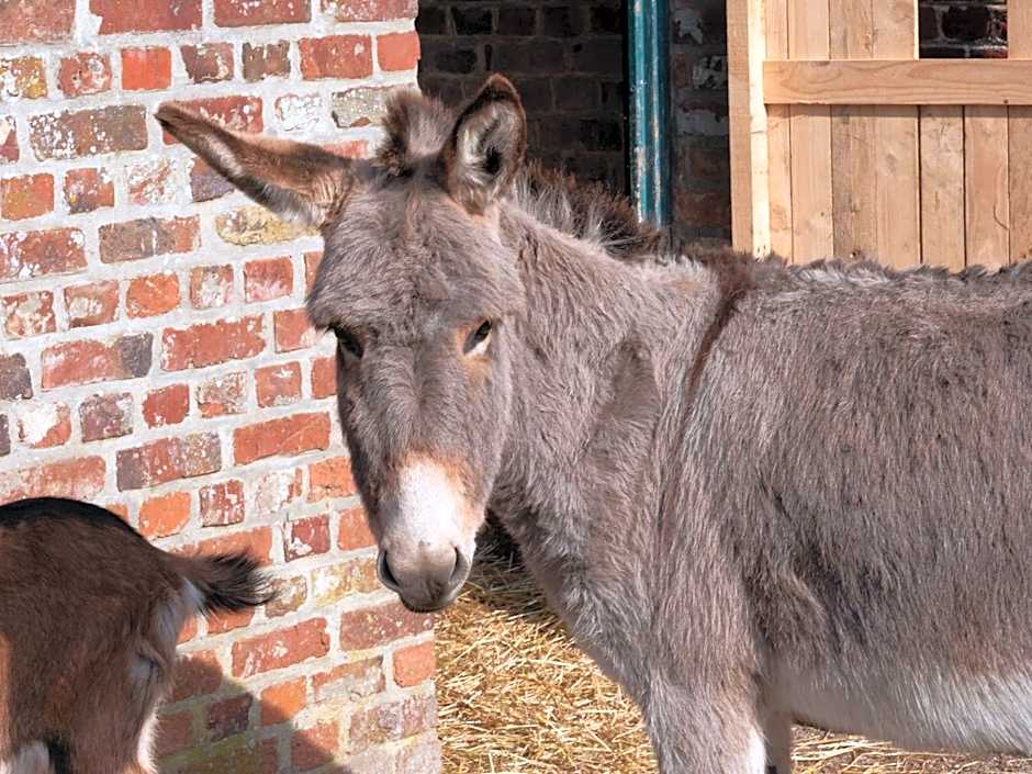 Le Domaine de Beaulieu