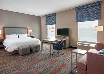 Hampton Inn and Suites at Wisconsin Dells Lake Delton