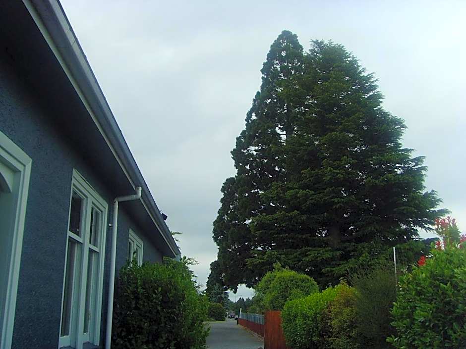 Big Tree Lodge Methven