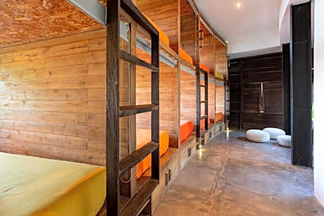 Bunk Bed in Mixed Dormitory Room
