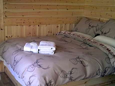 Apartment with Shower