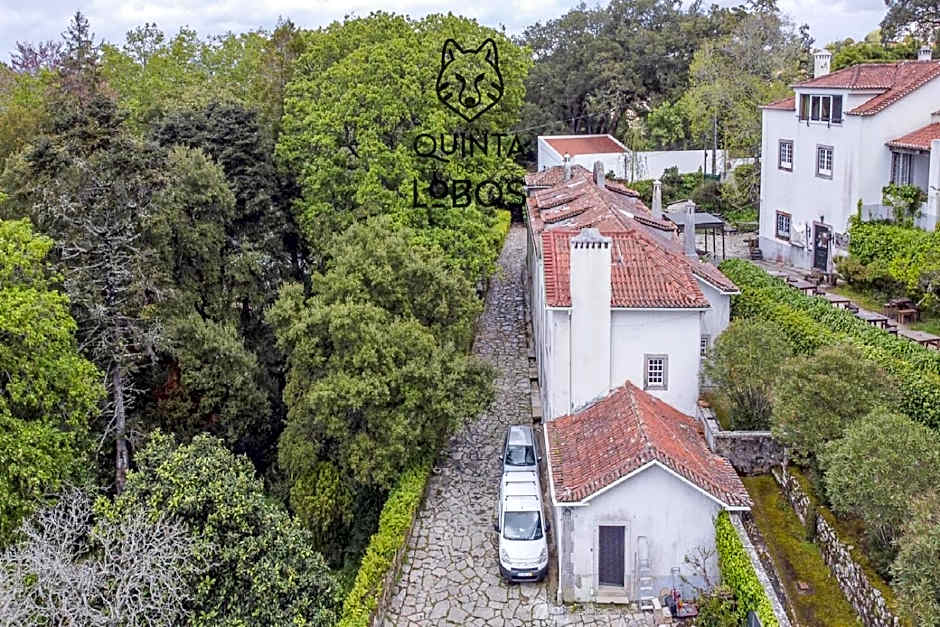 Quinta dos Lobos Boutique Hotel - Nature Experience