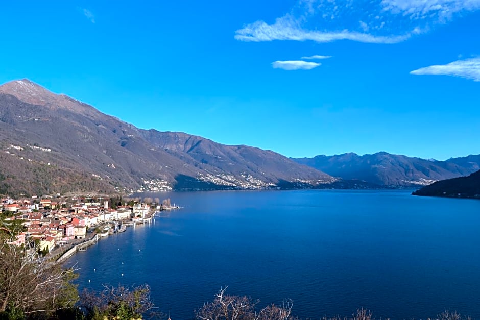 Solivonatural Apartment