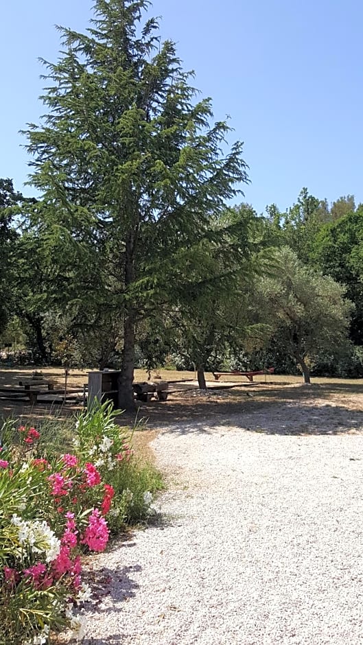 Au Charme de Pépiole