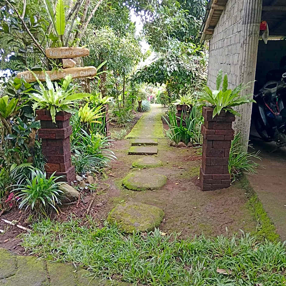 Bali mountain forest cabin