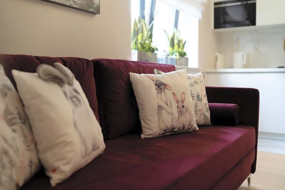 Altara Apartamenty Centrum - Free Parking