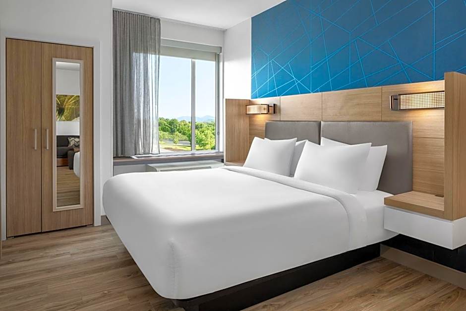 SpringHill Suites by Marriott Roanoke North