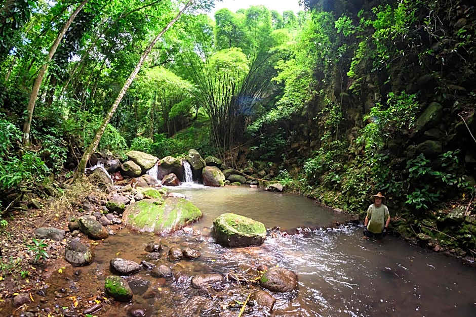 Martinique Treehouse