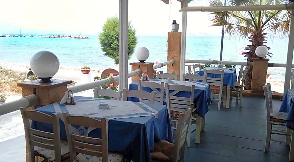 Hotel Beach Amaryllis