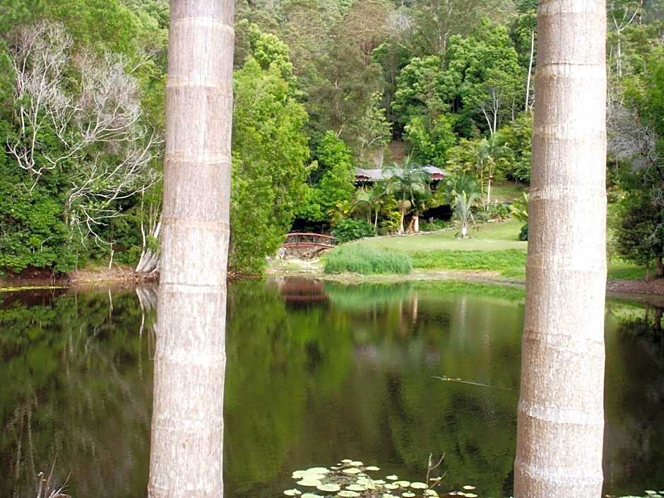 Wollumbin Palms Rainforest Retreat