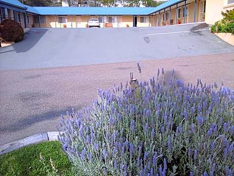 Willows Motel
