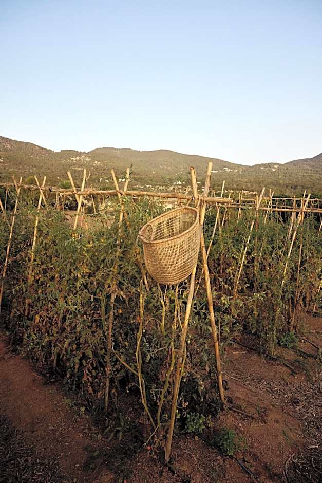 UNIO Ibiza - Adults Only