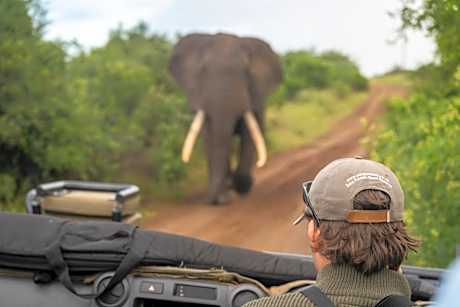 Sungulwane Private Game Lodge