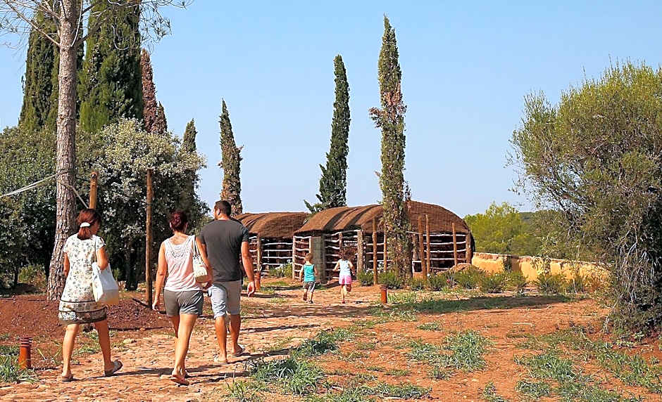 Château Saint Roux Le Luc-Le Cannet des Maures